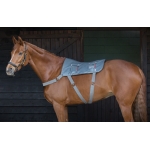 Equilibrium Massage Back Pad & Mitt Combo Pack - 3 Length Sizes Available